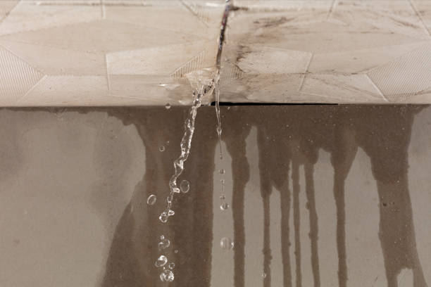 Professional Water Damage Repair technician working in Arley, AL